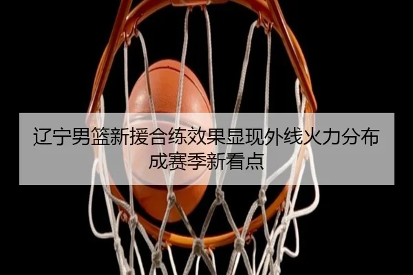 辽宁男篮新援合练效果显现外线火力分布成赛季新看点